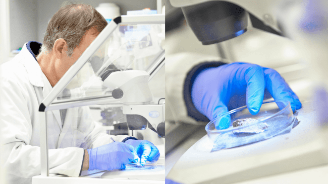 123 - Asbestos Testing Lab: A Little Note on Asbestos