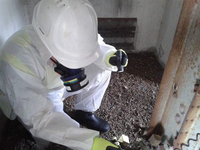Asbestos Surveys
