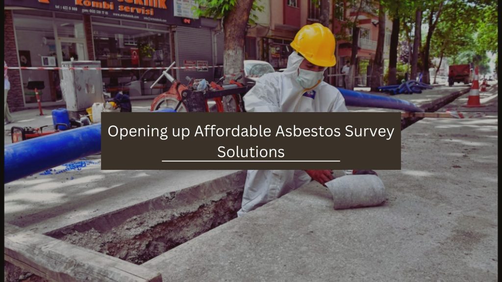Asbestos survey