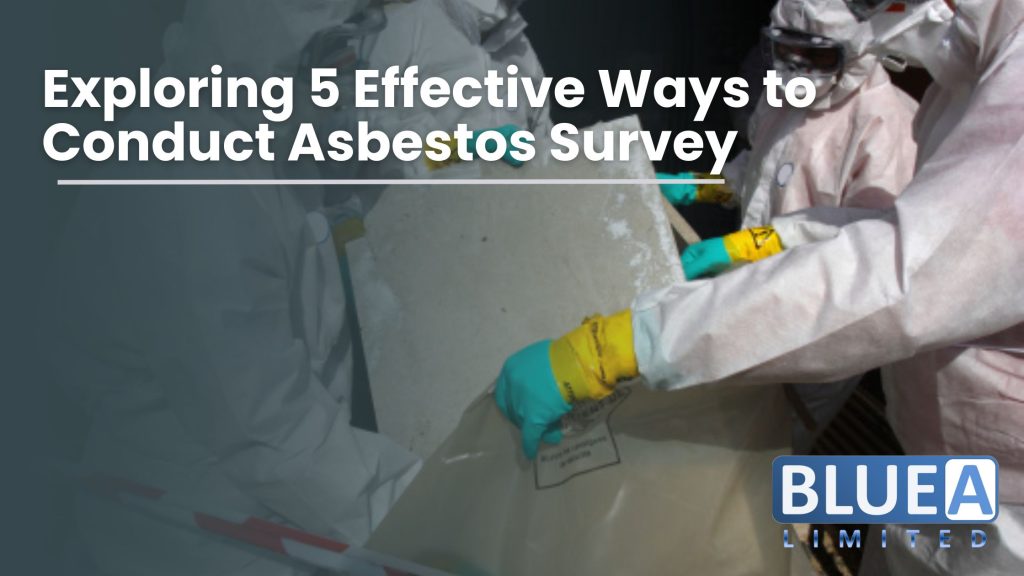 Asbestos Survey