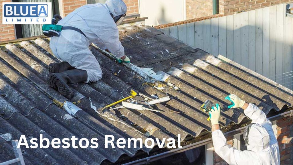 Asbestos Removal 1 1024x576 - Safeguarding Your Space: The Importance of Asbestos Removal