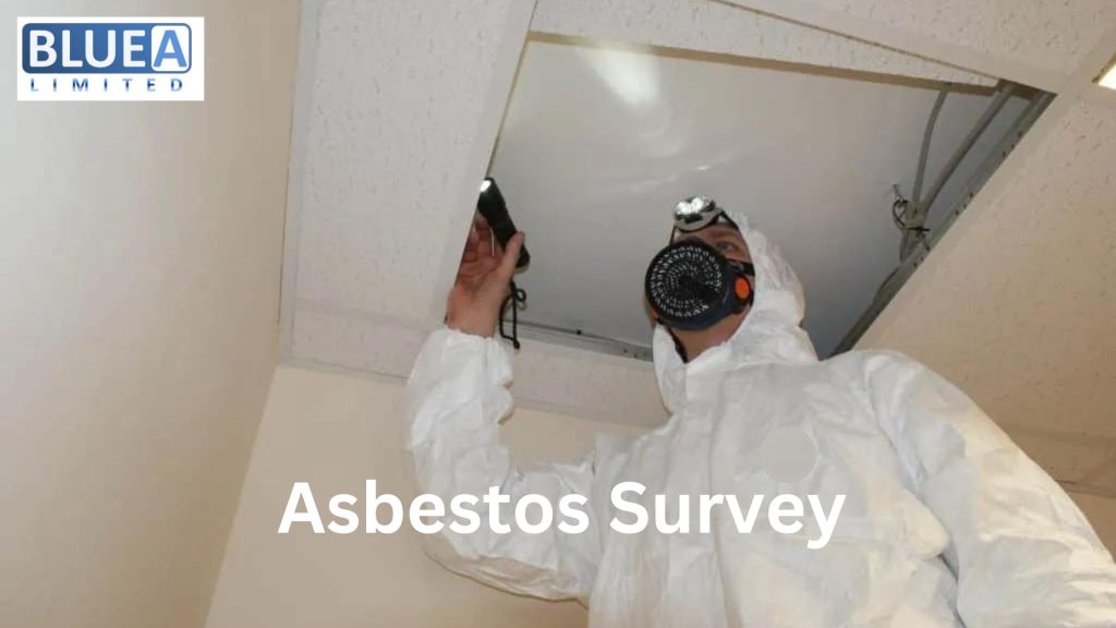 Asbestos Removal 3 1024x576 - The Importance of Hiring Knowledgeable for Your Asbestos Survey