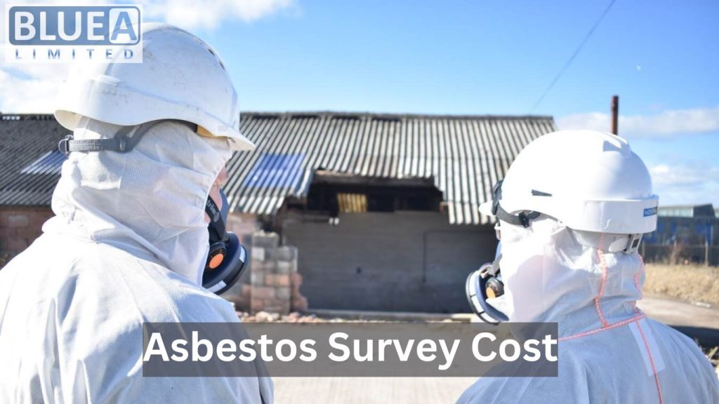 Asbestos Survey Cost 1024x576 - Understanding Asbestos Survey Cost: Your Comprehensive Guide