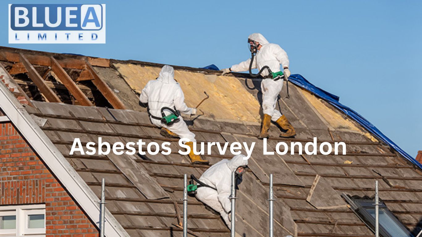 Asbestos Survey London 1 - Unveiling the various sorts of Asbestos Surveys Available in London
