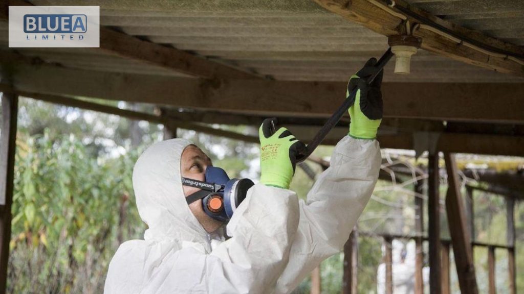 asbestos removal cost